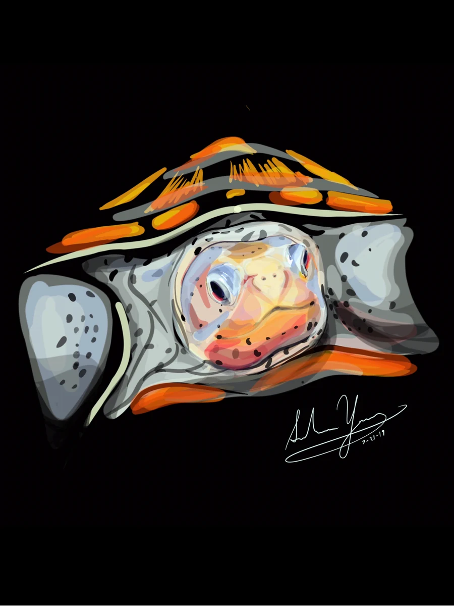 Digital painting of a turtle peeking out from its orange and gray shell